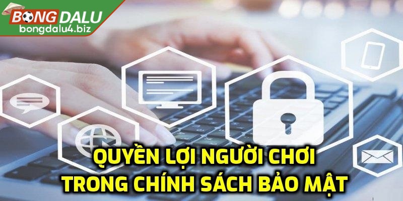 Một vài chính sách bảo vệ quyền của người dùng