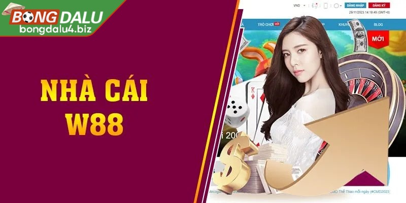 Sức hấp dẫn nhờ vào dịch vụ cung cấp cho bet thủ