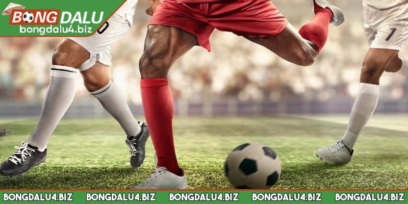 Sự cần thiết của tip bóng đá trong cá cược 