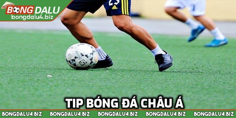 Tip Bóng Đá Châu Á Là Gì? Mẹo Soi Chuẩn Từ Chuyên Gia 1 Tìm hiểu về tip bóng đá châu Á