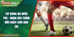 Tip Bóng Đá Miễn Phí - Nhận Kèo Thơm Mỗi Ngày Cho Anh Em