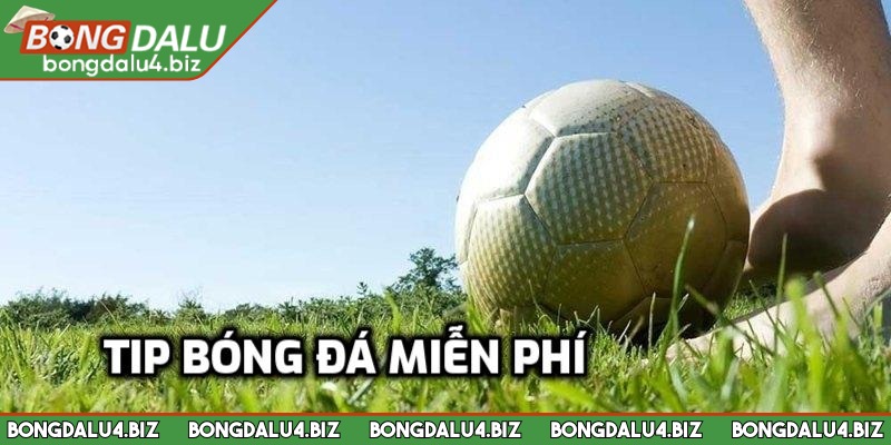 Tip Bóng Đá Miễn Phí - Nhận Kèo Thơm Mỗi Ngày Cho Anh Em 1 Bet thủ nên tham khảo tip bóng đá miễn phí mỗi ngày