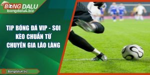 Tip Bóng Đá Vip - Soi Kèo Chuẩn Từ Chuyên Gia Lão Làng
