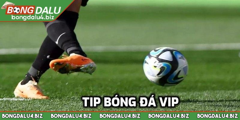 Tip Bóng Đá Vip - Soi Kèo Chuẩn Từ Chuyên Gia Lão Làng 1 Tip bóng đá VIP đóng vai trò quan trọng khi đặt cược