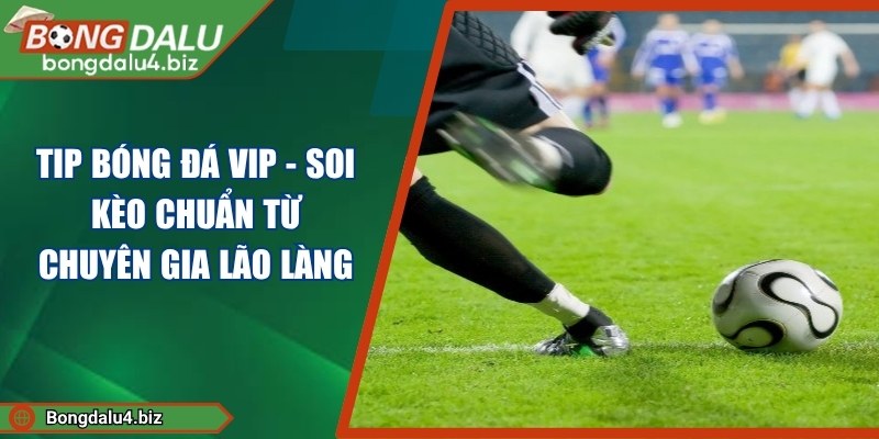 Tip Bóng Đá Vip - Soi Kèo Chuẩn Từ Chuyên Gia Lão Làng